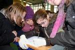 Tete-et-jambes-2009-12-16-057